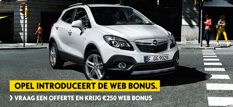 Web Bonus